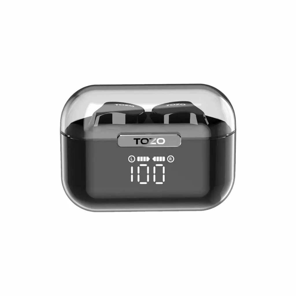 sp_0045_OZO Crystal Buds T18.webp