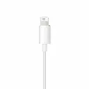 sp_0010_CAP USB-C TO LIGHTNING CABLE (1 M).webp
